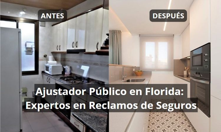Ajustador Publico en Florida